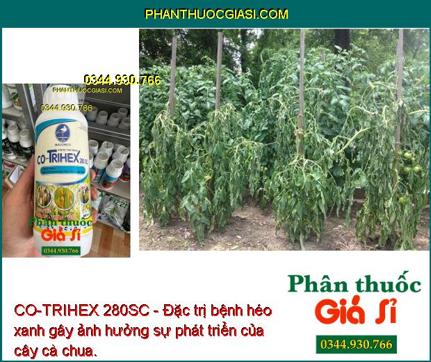 CO-TRIHEX 280SC - Đặc Trị Nấm Bệnh - Thán Thư - Đạo Ôn - Héo Xanh