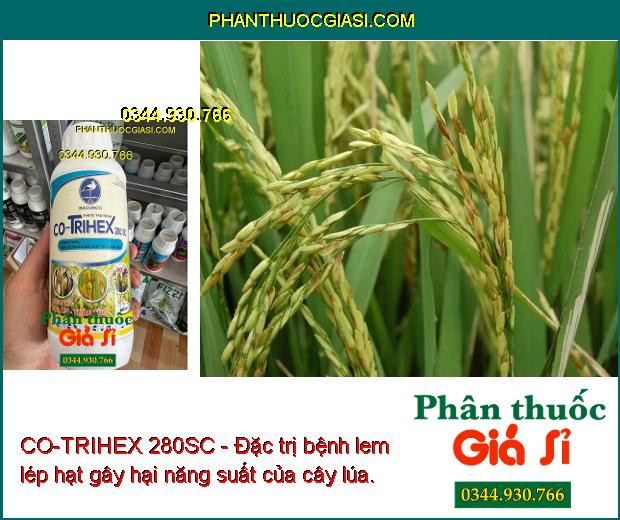 CO-TRIHEX 280SC - Đặc Trị Nấm Bệnh - Thán Thư - Đạo Ôn - Héo Xanh