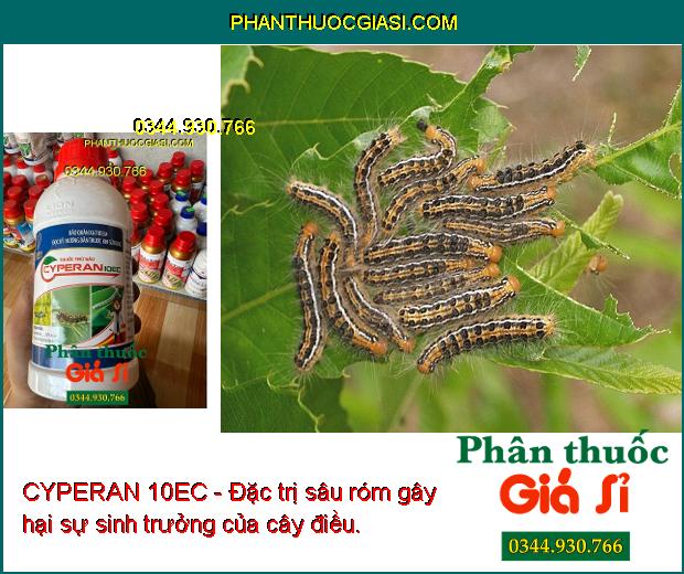 CYPERAN 10EC - Đặc Trị Sâu Róm - Bọ Xít Muỗi - Sâu Cuốn Lá - Bọ Trĩ