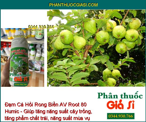 Đạm Cá Hồi Rong Biển AV Root 80 Humic - Bung Rễ Cực Mạnh - Mát Cây - Xanh Lá - Tăng Đề Kháng - Tăng Năng Suất