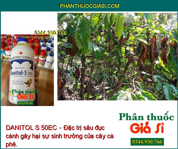 DANITOL S 50EC – Đặc Trị Rầy Nâu - Bọ Trĩ - Nhện Gié - Sâu Đục Quả - Rệp Sáp