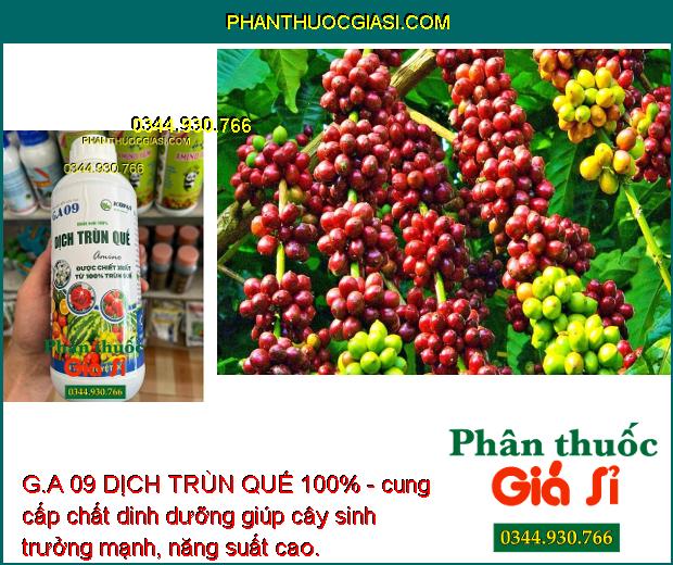 G.A 09 DỊCH TRÙN QUẾ 100% - Bộ Rễ Khỏe Mạnh - Cứng Cây - Giải Độc - Cải Tạo Đất