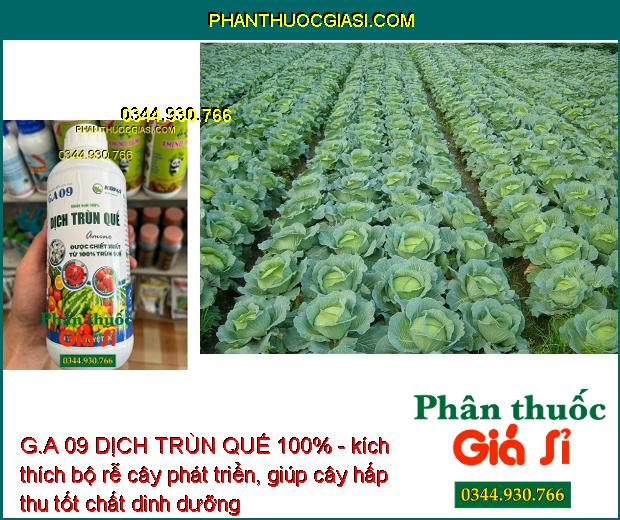 G.A 09 DỊCH TRÙN QUẾ 100% - Bộ Rễ Khỏe Mạnh - Cứng Cây - Giải Độc - Cải Tạo Đất