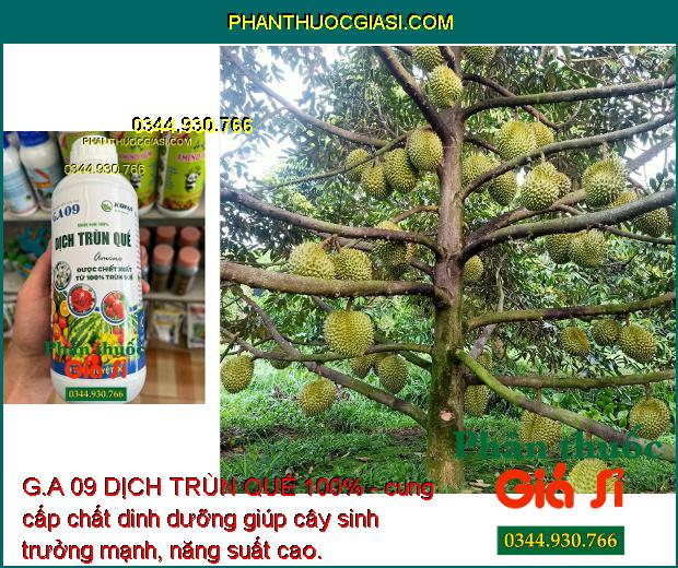 G.A 09 DỊCH TRÙN QUẾ 100% - Bộ Rễ Khỏe Mạnh - Cứng Cây - Giải Độc - Cải Tạo Đất