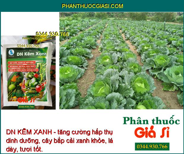 DN KẼM XANH - Kích Thích Rễ - Dưỡng Xanh Cây - Phát Hoa Nhiều - Ngừa Sương Mai