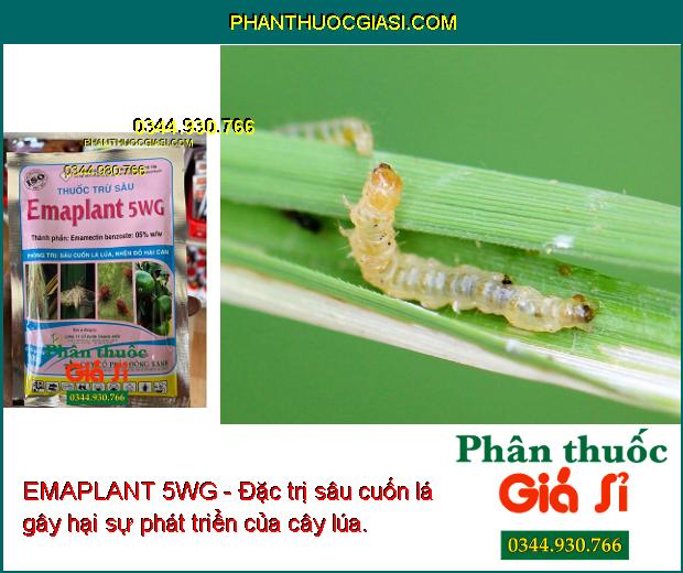 EMAPLANT 5WG - Đặc Trị Sâu Cuốn Lá - Nhện Đỏ - Bọ Trĩ - Rệp Sáp - Rầy Nâu