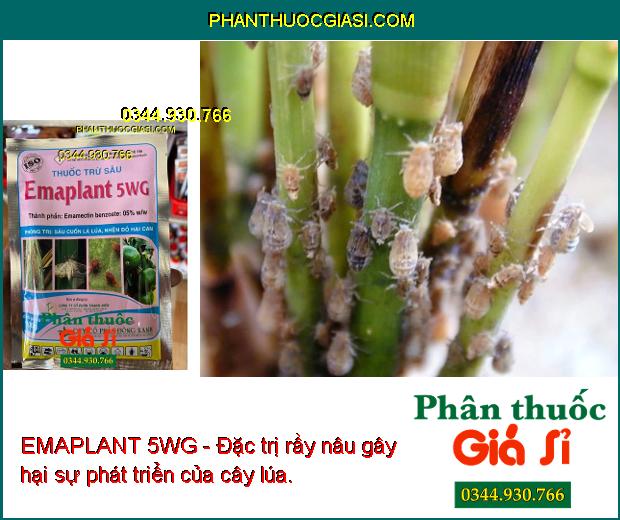 EMAPLANT 5WG - Đặc Trị Sâu Cuốn Lá - Nhện Đỏ - Bọ Trĩ - Rệp Sáp - Rầy Nâu