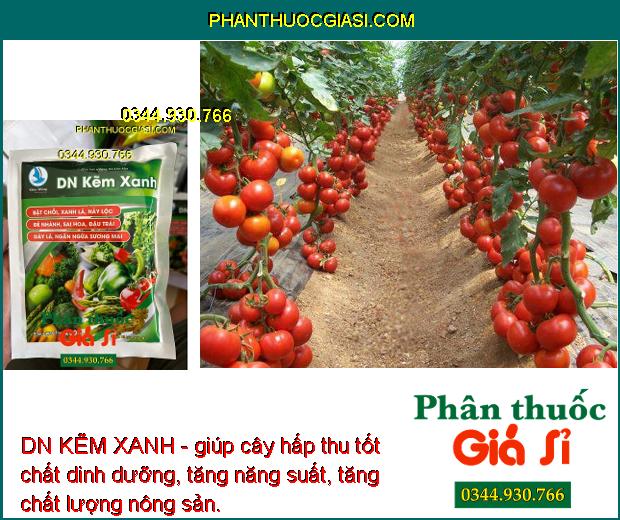 DN KẼM XANH - Kích Thích Rễ - Dưỡng Xanh Cây - Phát Hoa Nhiều - Ngừa Sương Mai