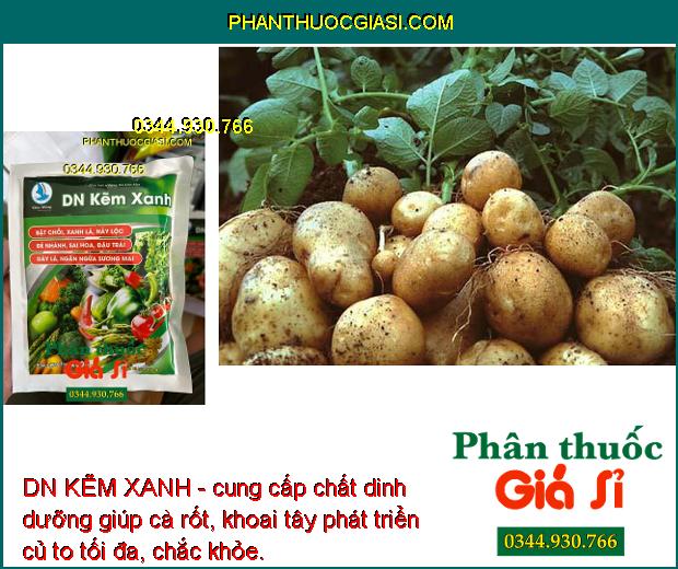 DN KẼM XANH - Kích Thích Rễ - Dưỡng Xanh Cây - Phát Hoa Nhiều - Ngừa Sương Mai