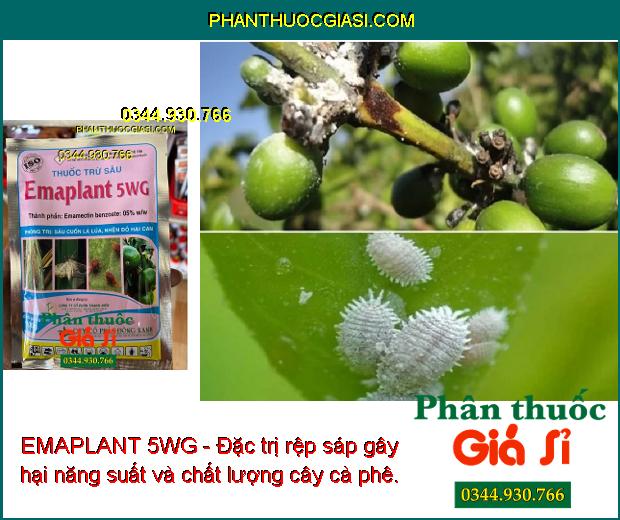 EMAPLANT 5WG - Đặc Trị Sâu Cuốn Lá - Nhện Đỏ - Bọ Trĩ - Rệp Sáp - Rầy Nâu