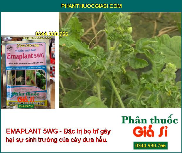 EMAPLANT 5WG - Đặc Trị Sâu Cuốn Lá - Nhện Đỏ - Bọ Trĩ - Rệp Sáp - Rầy Nâu