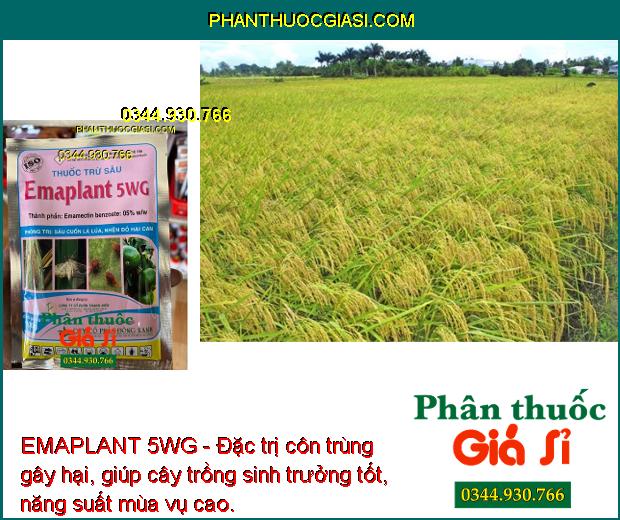 EMAPLANT 5WG - Đặc Trị Sâu Cuốn Lá - Nhện Đỏ - Bọ Trĩ - Rệp Sáp - Rầy Nâu