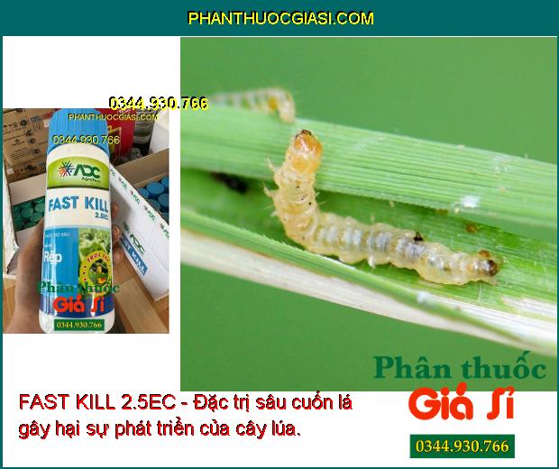 FAST KILL 2.5EC - Đặc Trị Rệp Sáp - Rệp Muội - Rầy Nâu - Sâu Cuốn Lá