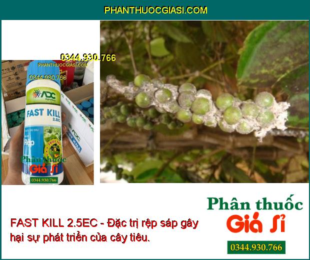 FAST KILL 2.5EC - Đặc Trị Rệp Sáp - Rệp Muội - Rầy Nâu - Sâu Cuốn Lá