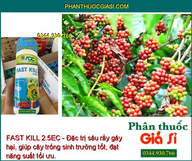 FAST KILL 2.5EC - Đặc Trị Rệp Sáp - Rệp Muội - Rầy Nâu - Sâu Cuốn Lá