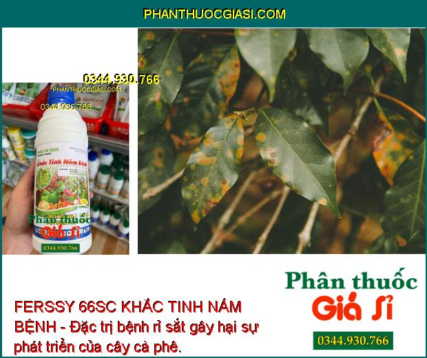 FERSSY 66SC KHẮC TINH NẤM BỆNH - Đặc Trị Thán Thư - Sương Mai - Xanh Lá - Tăng Năng Suất