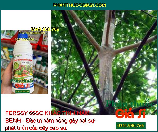 FERSSY 66SC KHẮC TINH NẤM BỆNH - Đặc Trị Thán Thư - Sương Mai - Xanh Lá - Tăng Năng Suất