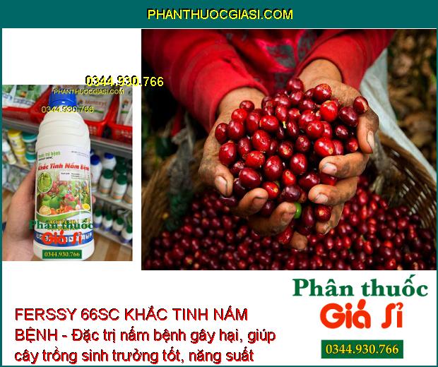 FERSSY 66SC KHẮC TINH NẤM BỆNH - Đặc Trị Thán Thư - Sương Mai - Xanh Lá - Tăng Năng Suất