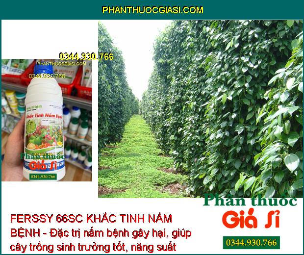 FERSSY 66SC KHẮC TINH NẤM BỆNH - Đặc Trị Thán Thư - Sương Mai - Xanh Lá - Tăng Năng Suất