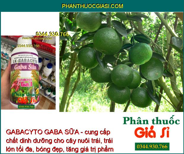 GABACYTO GABA SỮA-Thúc Đẩy Sinh Trưởng - Tăng Ra Rễ - Đâm Chồi - Giảm Rụng Hoa - Trái- Xanh Lá