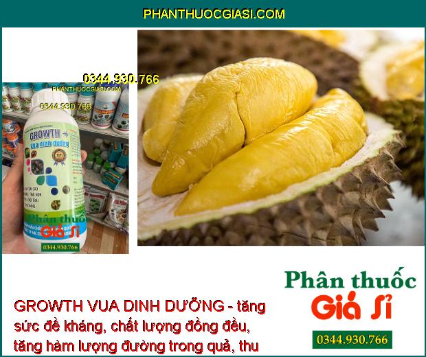 GROWTH VUA DINH DƯỠNG - Chống Rụng Bông - Tăng Đậu Trái - To Trái - Đặc Ruột