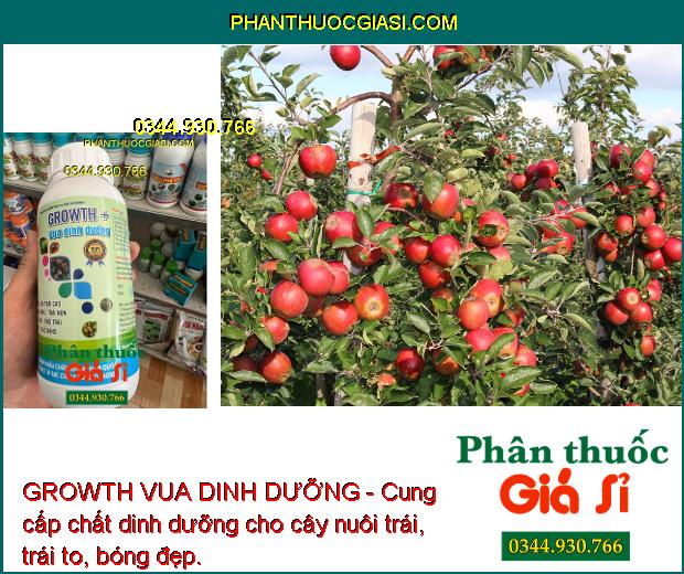 GROWTH VUA DINH DƯỠNG - Chống Rụng Bông - Tăng Đậu Trái - To Trái - Đặc Ruột