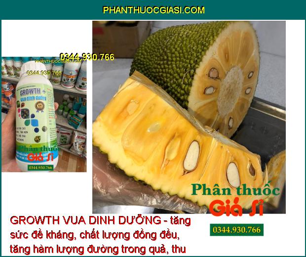 GROWTH VUA DINH DƯỠNG - Chống Rụng Bông - Tăng Đậu Trái - To Trái - Đặc Ruột