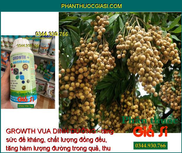 GROWTH VUA DINH DƯỠNG - Chống Rụng Bông - Tăng Đậu Trái - To Trái - Đặc Ruột