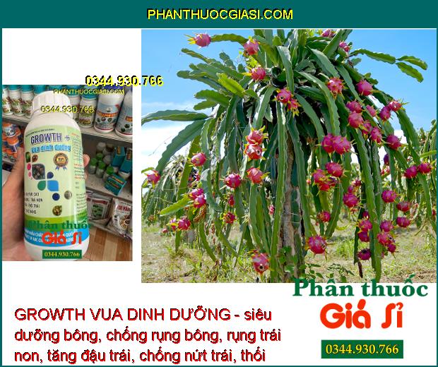 GROWTH VUA DINH DƯỠNG - Chống Rụng Bông - Tăng Đậu Trái - To Trái - Đặc Ruột