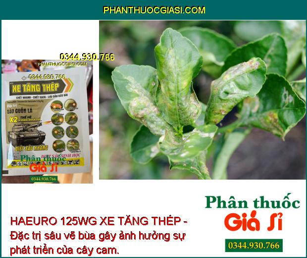 HAEURO 125WG XE TĂNG THÉP - Đặc Trị Sâu Cuốn Lá Nhỏ - Trưởng Thành - Sâu Kháng Thuốc