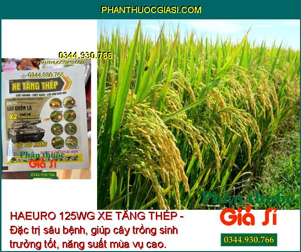 HAEURO 125WG XE TĂNG THÉP - Đặc Trị Sâu Cuốn Lá Nhỏ - Trưởng Thành - Sâu Kháng Thuốc