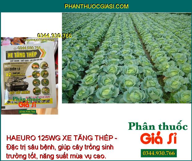 HAEURO 125WG XE TĂNG THÉP - Đặc Trị Sâu Cuốn Lá Nhỏ - Trưởng Thành - Sâu Kháng Thuốc