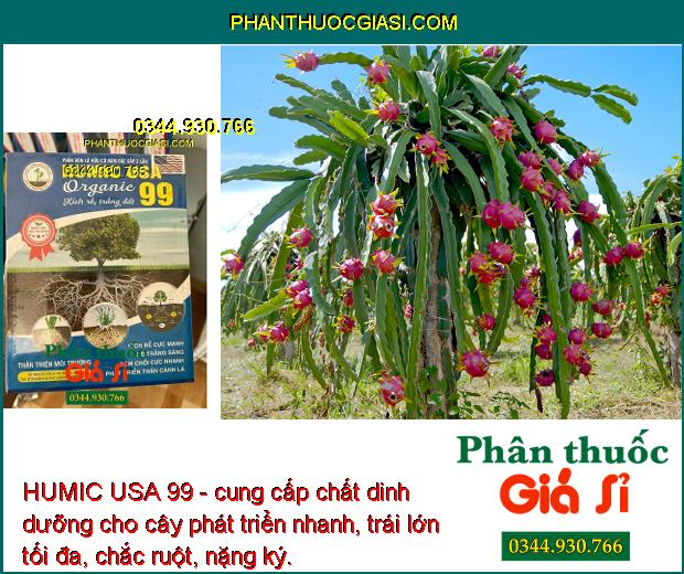 HUMIC USA 99 - Giải Độc Hữu Cơ - Kích Ra Rễ - Sinh Trưởng Tốt - Lớn Trái - Chắc Hạt