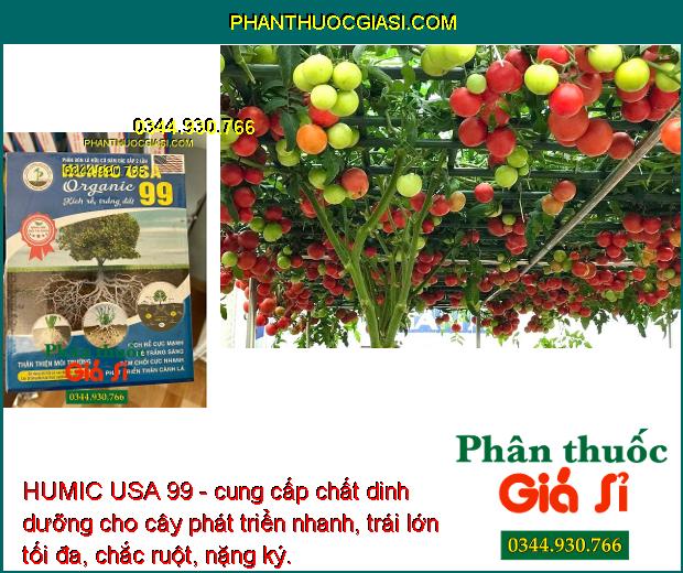 HUMIC USA 99 - Giải Độc Hữu Cơ - Kích Ra Rễ - Sinh Trưởng Tốt - Lớn Trái - Chắc Hạt