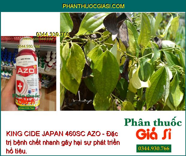 KING CIDE JAPAN 460SC AZO - Đặc Trị Nấm Bệnh: Sương Mai - Thán Thư - Mốc Sương - Thối Nhũn