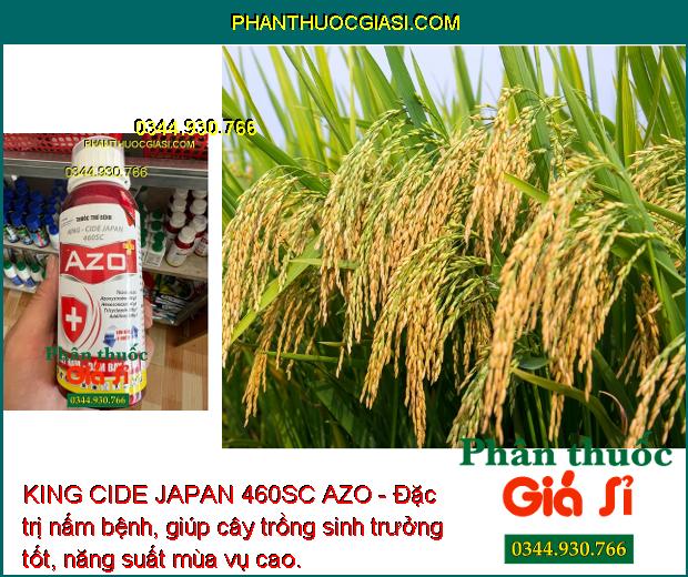 KING CIDE JAPAN 460SC AZO - Đặc Trị Nấm Bệnh: Sương Mai - Thán Thư - Mốc Sương - Thối Nhũn