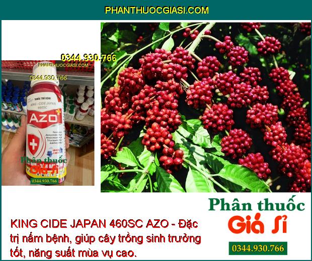 KING CIDE JAPAN 460SC AZO - Đặc Trị Nấm Bệnh: Sương Mai - Thán Thư - Mốc Sương - Thối Nhũn