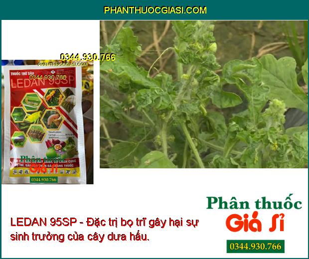 LEDAN 95SP- Đặc Trị Rầy Xanh - Bọ Cánh Cứng - Bọ Trĩ - Sâu Đục Thân - Sâu Kháng Thuốc