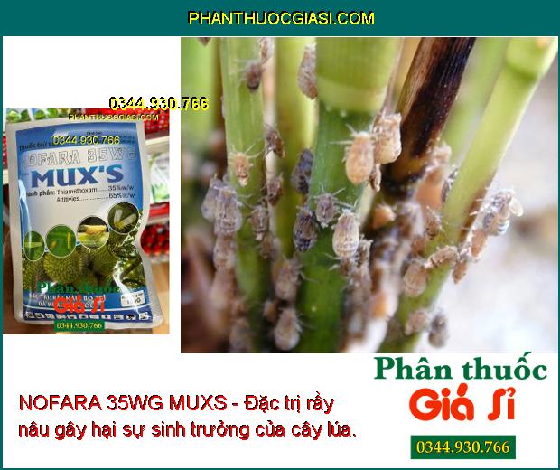 NOFARA 35WG MUXS - Đặc Trị Rầy Nâu - Bọ Trĩ - Rệp Sáp - Sâu Cuốn Lá - Sâu  Kháng Thuốc