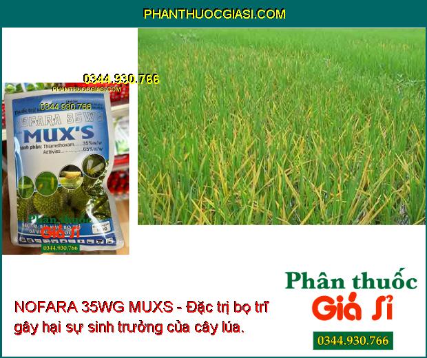 NOFARA 35WG MUXS - Đặc Trị Rầy Nâu - Bọ Trĩ - Rệp Sáp - Sâu Cuốn Lá - Sâu  Kháng Thuốc