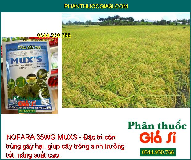 NOFARA 35WG MUXS - Đặc Trị Rầy Nâu - Bọ Trĩ - Rệp Sáp - Sâu Cuốn Lá - Sâu  Kháng Thuốc