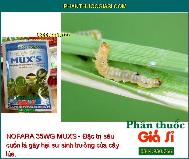 NOFARA 35WG MUXS - Đặc Trị Rầy Nâu - Bọ Trĩ - Rệp Sáp - Sâu Cuốn Lá - Sâu  Kháng Thuốc