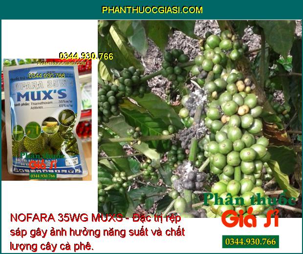 NOFARA 35WG MUXS - Đặc Trị Rầy Nâu - Bọ Trĩ - Rệp Sáp - Sâu Cuốn Lá - Sâu  Kháng Thuốc