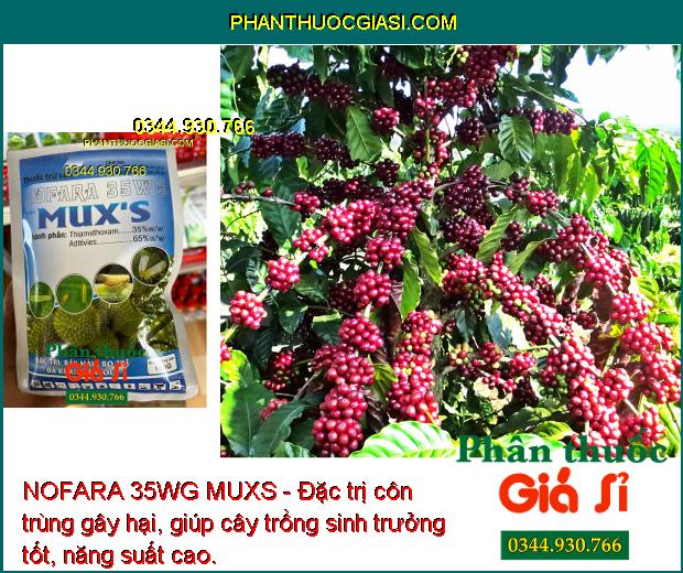 NOFARA 35WG MUXS - Đặc Trị Rầy Nâu - Bọ Trĩ - Rệp Sáp - Sâu Cuốn Lá - Sâu  Kháng Thuốc