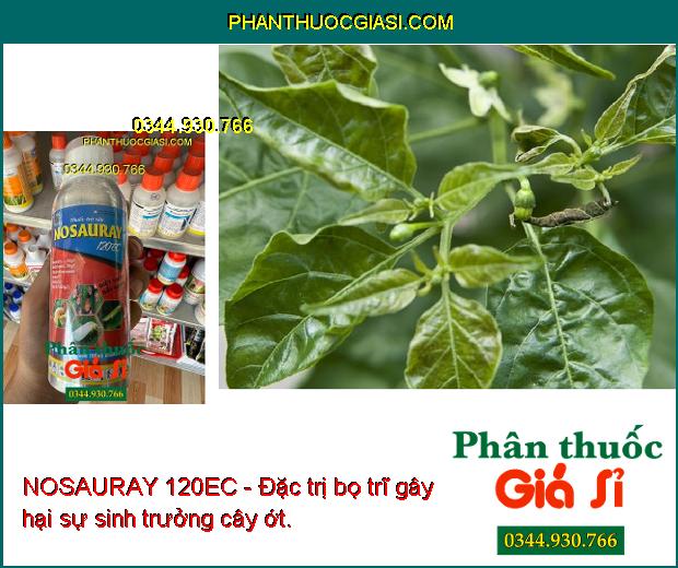 NOSAURAY 120EC - Đặc Trị Rầy Nâu - Sâu Cuốn Lá - Bọ Trĩ - Sâu Đục Thân - Rầy Xanh