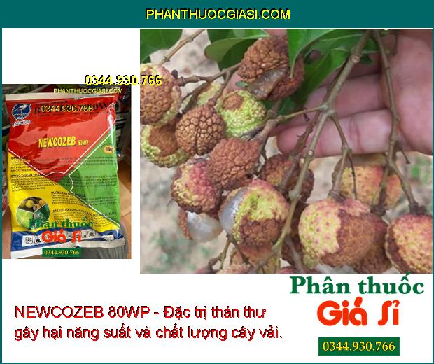 NEWCOZEB 80WP - Đặc Trị Nấm Bệnh - Thán Thư - Héo Xanh - Lem Lép Hạt