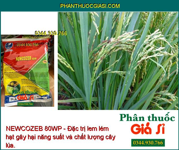 NEWCOZEB 80WP - Đặc Trị Nấm Bệnh - Thán Thư - Héo Xanh - Lem Lép Hạt