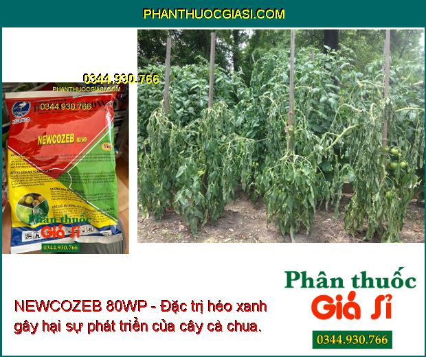 NEWCOZEB 80WP - Đặc Trị Nấm Bệnh - Thán Thư - Héo Xanh - Lem Lép Hạt