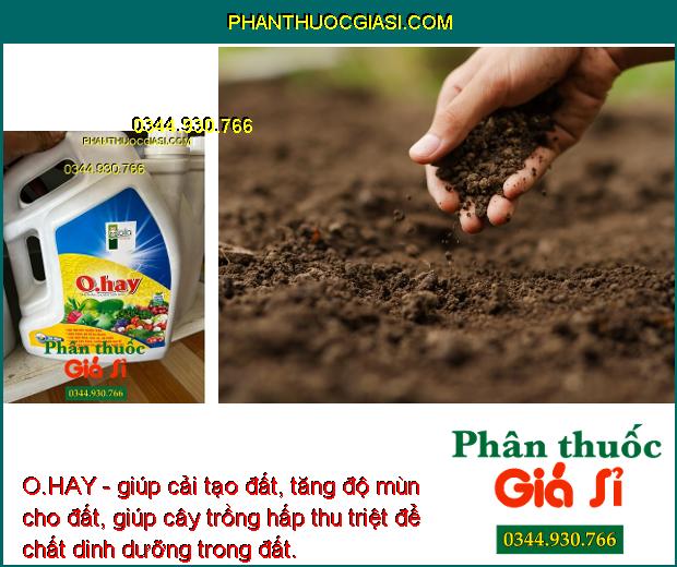 O.HAY- Cải Tạo Đất- Cải Tạo Đất - Tăng Sức Đề Kháng - Chống Rụng Trái Non - Phòng Trừ Nhiều Bệnh Hại