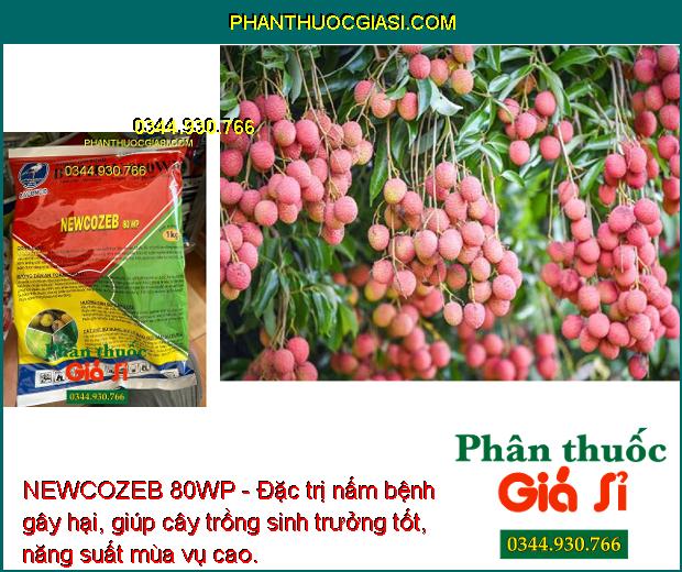 NEWCOZEB 80WP - Đặc Trị Nấm Bệnh - Thán Thư - Héo Xanh - Lem Lép Hạt